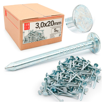 Gwoździe papowe ocynkowane 3.0x20 (5kg)