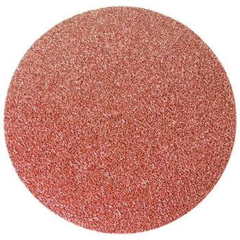 Papier ście dysk P180 125mm 10 szt. 738659 (1op)