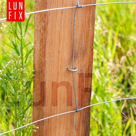 Skoble gwoździe 2.5x25 ocynkowane 5kg