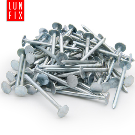 Gwoździe papowe 2x20 mm ocynkowane papiaki 0,5kg