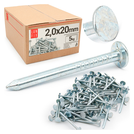 Gwoździe papowe 2x20 mm ocynkowane papiaki 5kg