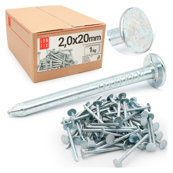 Gwoździe papowe ocynk 2,0x20 (1kg)