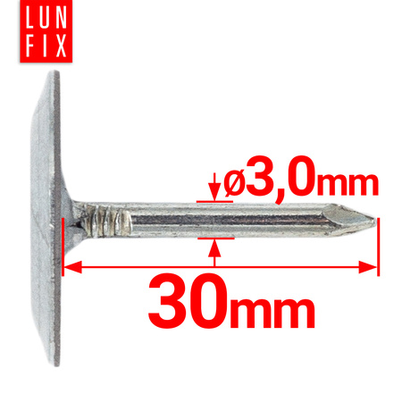 Gwoździe papowe 3x30mm ocynkowane z podkładką 1kg