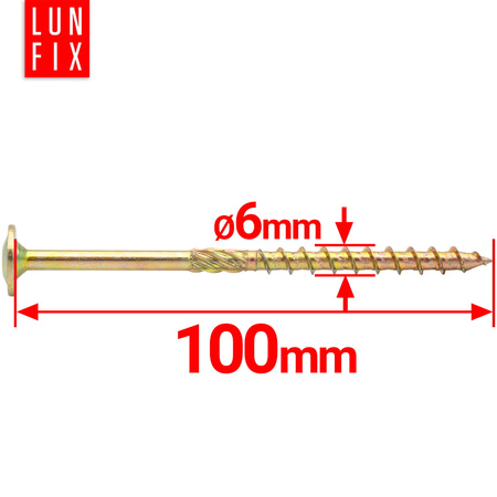 Wkret cies talerzowy 06x100/50 T30 50szt