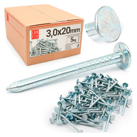 Gwoździe papowe ocynkowane 3.0x20 (5kg)
