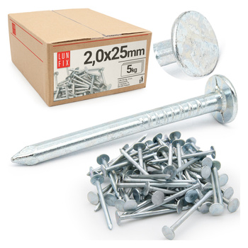 Gwoździe papowe ocynk 2,0x25 (5kg)