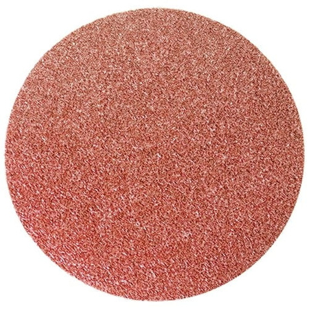 Papier ście dysk P40 125mm 10 szt. 738359 (1op)